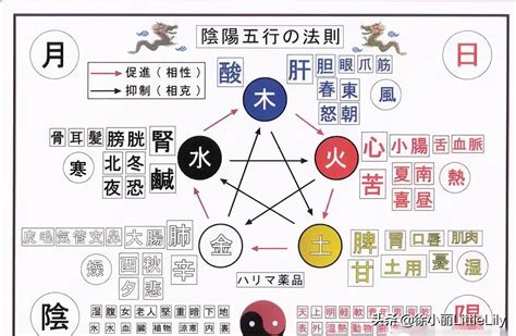 屬火食物|中醫學裡講究：五行、五氣、五臟、五味、五色